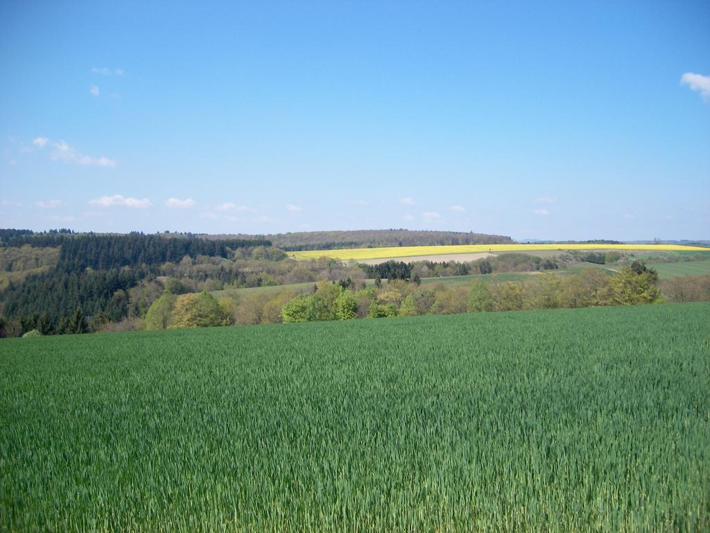 Landhaus Bad Bertrich Exterior foto